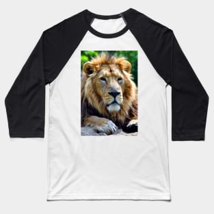 Asiatic Lion Panthera Leo Persica Big Cat Male Baseball T-Shirt